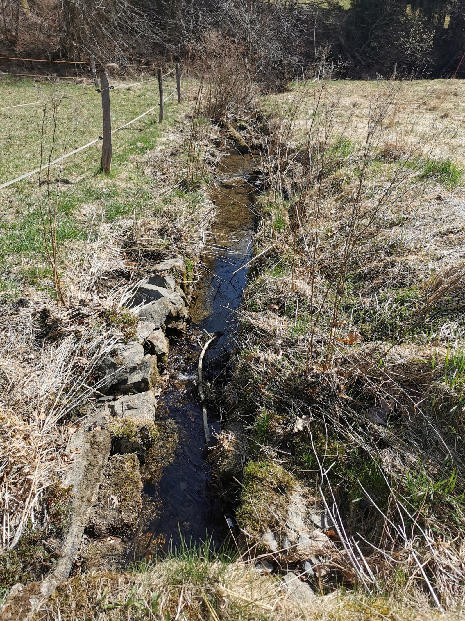 Bachlauf