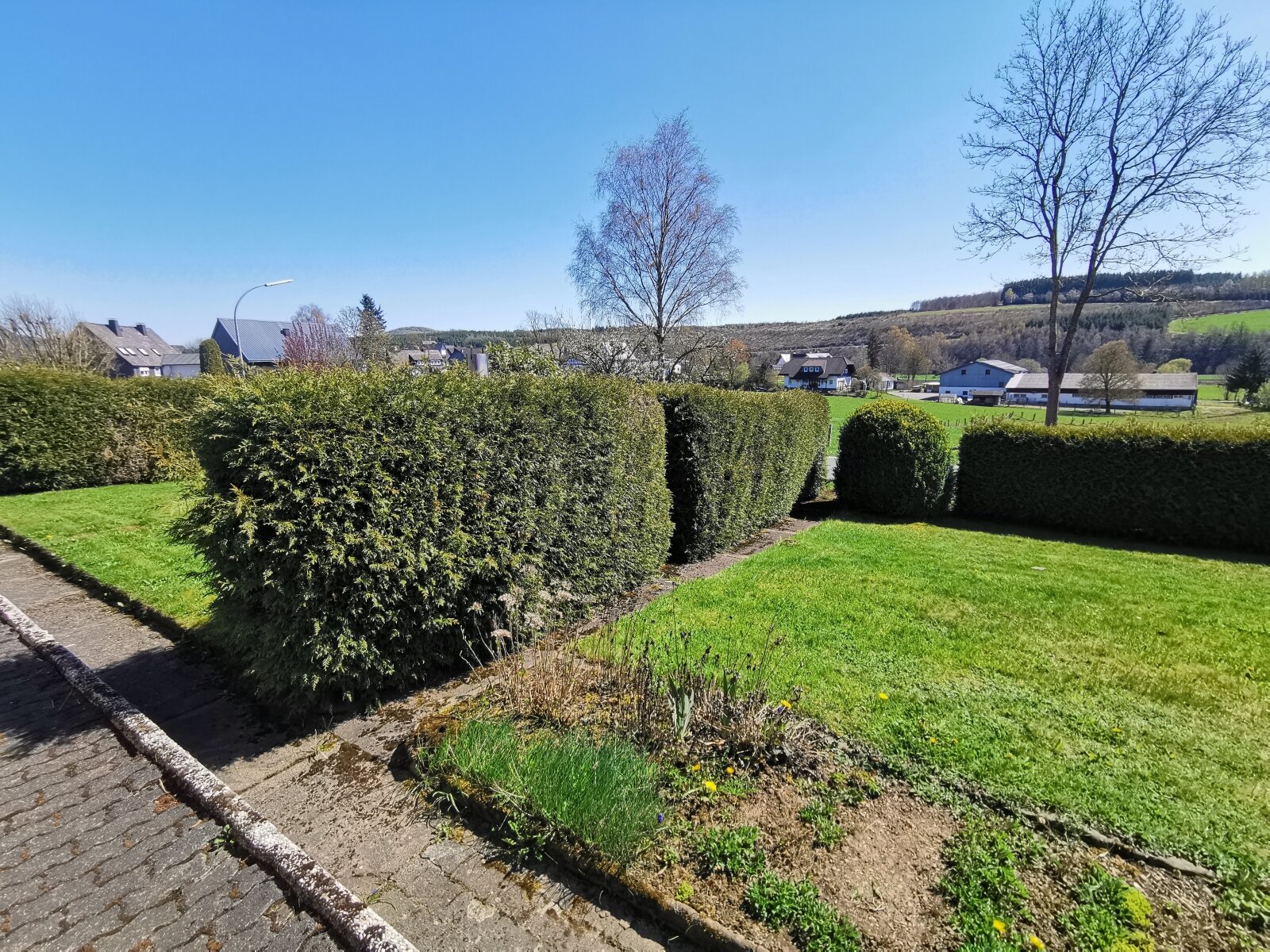 Gartenbereich